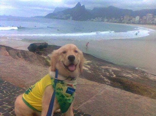 Imagem