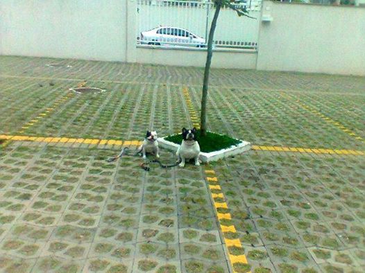 Imagem