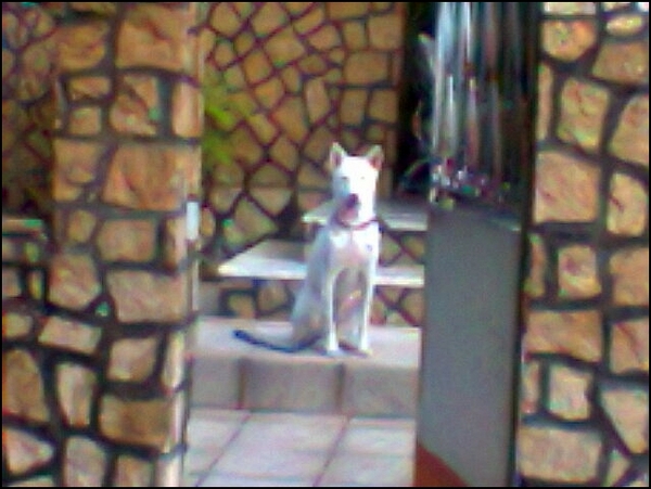 Imagem