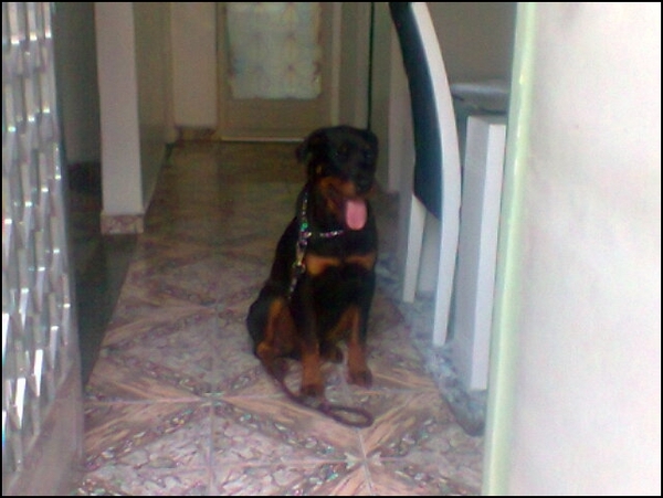 Imagem