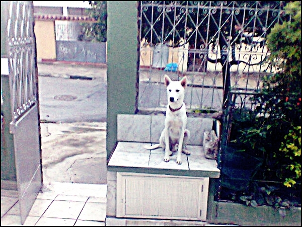 Imagem