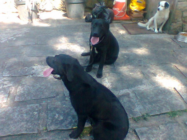 Imagem
