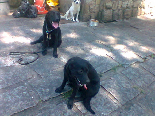 Imagem
