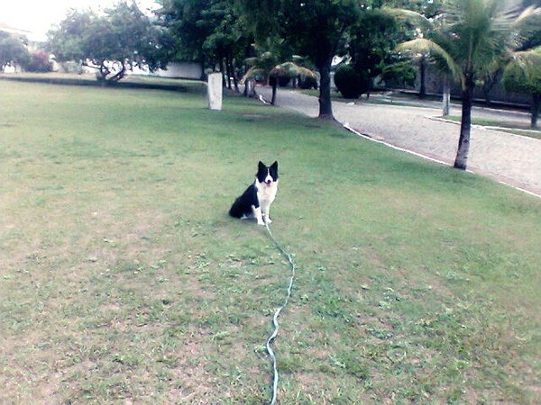 Imagem