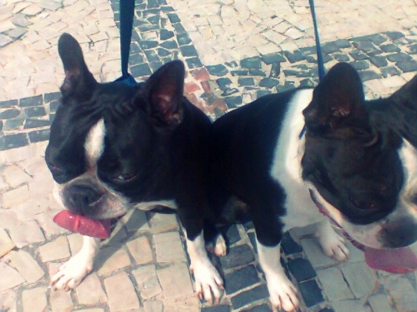 Imagem