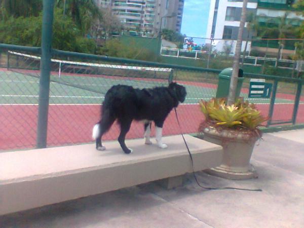 Imagem