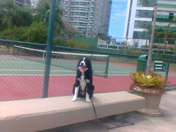 Imagem