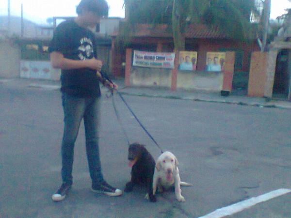 Imagem