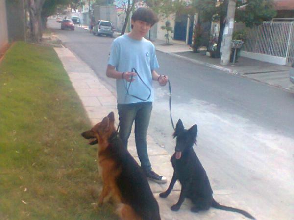 Imagem
