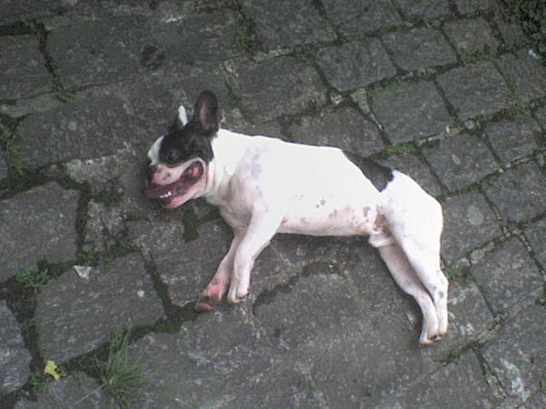 Imagem